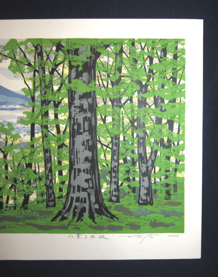 A Great Huge Orig Japanese Woodblock Print Pencil-Signed Limit# Fujita Fumio Breeze Creek