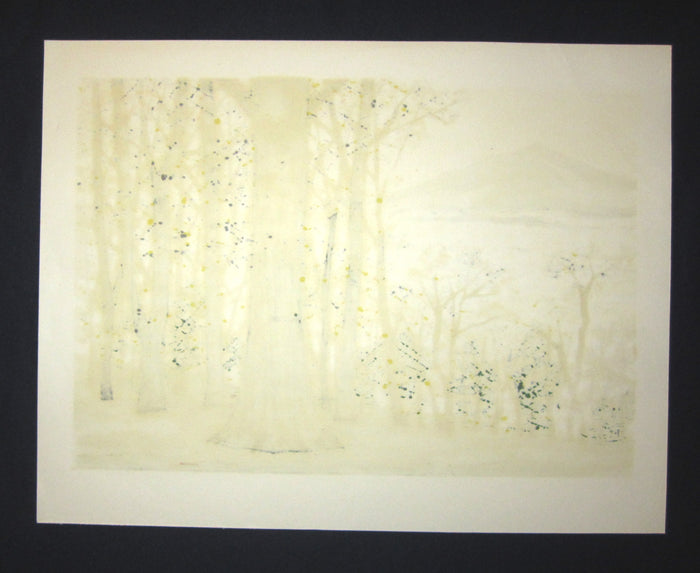 A Great Huge Orig Japanese Woodblock Print Pencil-Signed Limit# Fujita Fumio Breeze Creek