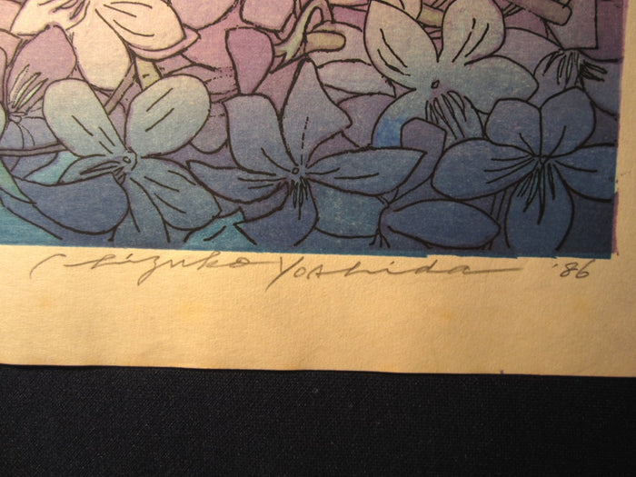A Huge Original Japanese Woodblock Print PENCIL SIGN Chizuko Yoshida Don’t Waste Spring