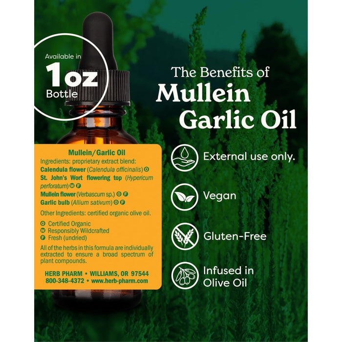 Herb Pharm Mullein Garlic Oil 1oz - The Oasis of Health