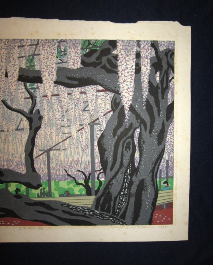 Huge Orig Japanese Woodblock Print Kitaoka Fumio PENCIL Sign Limit# Gomangoku Vine