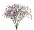 Limonium Oshi Pink 80 stems
