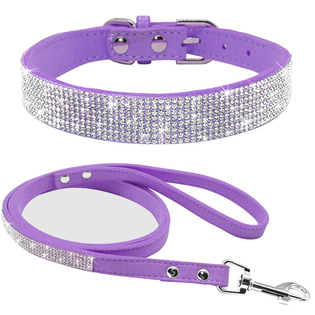 Purple / M
