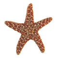 Shells - Large Sugar Starfish 6-7"